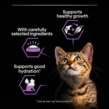 Pro Plan Kitten Mousse Chicken 85g