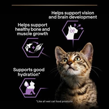 Pro Plan Kitten Wet Cat Food, Turkey in Gravy 85g