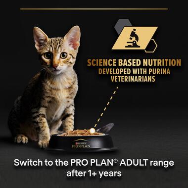 Pro Plan Kitten Wet Cat Food, Turkey in Gravy 85g