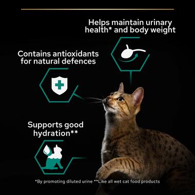 Pro Plan  Sterilised Adult Wet Cat Food, Beef in Gravy 85g