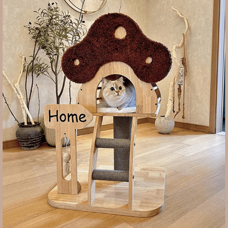Cat Supplies