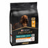 Pro Plan Everyday Nutrition Small and Mini Adult, Dry Dog food with Chicken, 3 kg